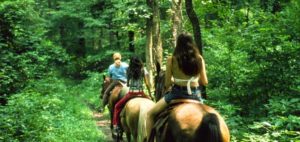 Indiana Horse Trails